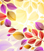 Seasons