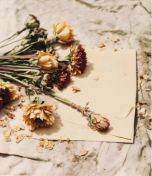 Poetry and Quotation