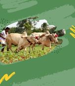 Farming
